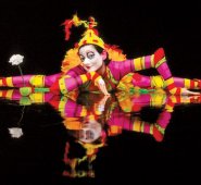 Foto tomada de Internet