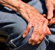 El estudio fue publicado en la revista estadounidense Science Signaling. Internet