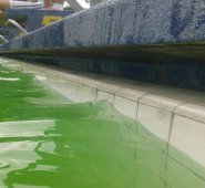 El agua perdió su agradable color azul que incitaba a bañarse y ahora es verde. Las baldosas están llenas de mugre. Daicy Echeverri
