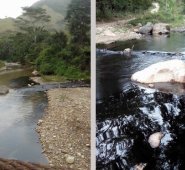 Libar Alexander Vergel