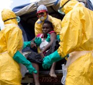 La epidemia dejó más de 11.300 muertos, de 29.000 casos censados, concentrados al 99% en tres países limítrofes: Guinea, Sierra Leona, declarada libre de ébola el 7 de noviembre, y Liberia. Archivo