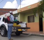 Según el sindicato Antoch, la capital nortesantandereana presenta cerca de 150 mil casos de Zika.
Internet