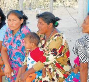 El pediatra cucuteño Hernando Villamizar, expresidente de la Sociedad Lationamericana de Pediatría, hace parte de un programa liderado por el Children’s Hospital de Texas, que busca disminuir la mortalidad infantil y materna en La Guajira. Colprensa