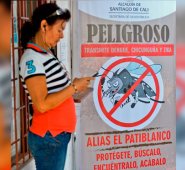 En los países ricos, este trastorno neurológico es letal en un 5% de los casos. Una de cada 20 personas afectadas presenta afecciones duraderas. Archivo