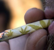 El paso siguiente en la Fiscalía será dar directriz “clara” a fiscales sobre los nuevos estándares establecidos por la Corte. AFP