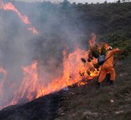 Bomberos de Tibú | Alcaldía de El Tarra