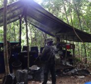La producción de droga del Eln se expande a lo largo y ancho de Norte de Santander. Archivo