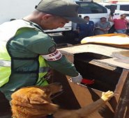 Especial para La Opinión