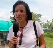 RFS sostuvo que con el hashtag #DondeEstaSaludHernandez, miles de seguidores exigen en Twitter que se aclare la desaparición de la periodista. Reporteros Sin Fronteras