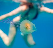 Instagram Tim Samuel