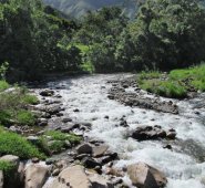 Especial para La Opinión