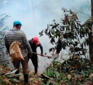 El balance de daños deja un promedio de más de 300 hectáreas afectadas por el fuego. Cortesía