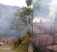 La humareda que se genera con la quema de los residuos animales despide malos olores. Cortesía