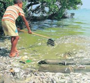 Hoy Diario del Magdalena