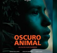 Internet | Referencial