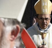 El cardenal y arzobispo de Lyon, Philippe Barbarin celebró ayer una misa para la fiesta de la Asunción en el santuario de la Virgen en la peregrinación francesa de Lourdes. AP