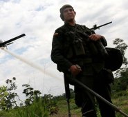 Datos del Ministerio de Defensa indican que, al 1 de septiembre de este año, en el país se han decomisado 230 toneladas de cocaína, 30 % más que en el mismo lapso de 2015. Colprensa