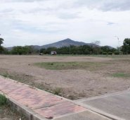 Luis Alfredo Estévez