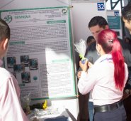 Luis Alfredo Estévez