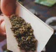 La inauguración de Herbal Outfitters, en Valdez, marcará la primera ocasión que es legal comprar marihuana bajo la iniciativa aprobada en noviembre del 2014. Internet | Referencial