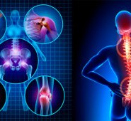 Internet | Referencial