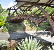 El puente de Guadua es uno de los sitios que se destacarán durante la campaña de personalizar a Cúcuta, que será lanzada en los próximos días para destacar lo mejor de la ciudad. Archivo La Opinión