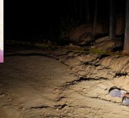 El cuerpo quedó tendido a un costado de la carretera tras alcanzar a correr algunos metros luego de ser baleado. Cristian Herrera