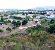 La Fundación Innovación Ciudadana busca crear el primer Memorial Verde en Honor a la Víctimas en Norte de Santander. Archivo La Opinión