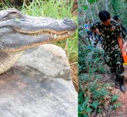 La víctima, la francesa Muriel Benetulier, fue trasladada a un hospital, pero se encuentra fuera de peligro. Tomada de Twitter