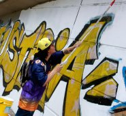 Inicialmente las versiones de los uniformados implicados indicaban que el joven Diego Felipe Becerra había atracado un bus y que los disparos se habían presentado durante la acción policial. Colprensa