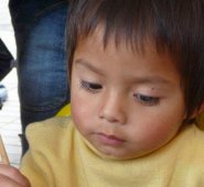 De 1.008 cupos se quitaron 358: 200 en Palmarito y Banco de Arena; 100 en Puerto Lleras y Buena Esperanza, y 58 en El Tunal. Internet