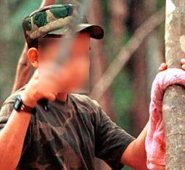 Solo 13 menores han salido de la guerrilla, pese a que se acordó en mayo del 2016 que saldrían en corto tiempo. Archivo