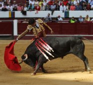 Según se pudo establecer, la Fiscalía envió un concepto a la Corte Constitucional que pide tumbar la ley de maltrato animal con el argumento que esto no debería dar cárcel sino multas a los responsables. Esto, argumentando, que no es una medida proporcional. Colprensa
