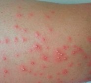 Internet | Referencial