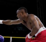 Las victorias de los boxeadores nacionales estuvieron a cargo de Céiver Ávila (52 kgrs), Alexander Rangel (69 kgrs), Juan Carrillo (81 kgrs) y Cristian Salcedo (+91 kgrs). Colprensa