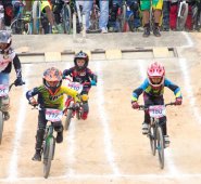 Luis Alfredo Estévez