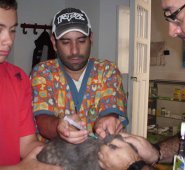 El objetivo del convenio es atender gratuitamente a los animales más vulnerables. Javier Sarabia