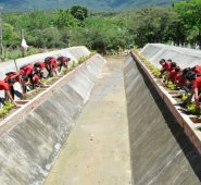 Los estudiantes han empezado por mejorar sus entornos escolares. En jornadas que inluyen a los papás, han embellecido el colegio. Edinsson Figueroa