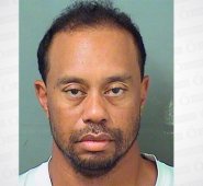 Tiger Woods fue detenido luego de aparecer a un costado de una carretera en Florida AP