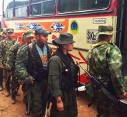 Los plazos para el desarme de las Farc fueron ampliados. Colprensa