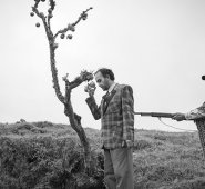 El filme de Carlos Osuna está cargado de perversidad y un ligero odio social. La película es calificada por la crítica como diferente a lo que normalmente se hace en el país. Colprensa