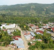 Se espera que cada actividad productiva sea rentable y estable, para evitar la propagación, otra vez, de la coca. Cortesía