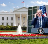 AUnque trump maneja redes sociales, ha desantendido a los estadounidenses hispanoparlantes.  Archivo particular