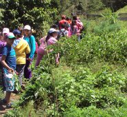 Las familias ocañeras le están apostando a producir sus alimentos en huertas caseras que habilitan con el apoyo técnico de la fundación Crediservir. Javier Sarabia