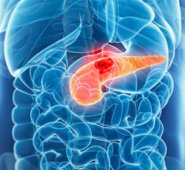 Internet | Referencial