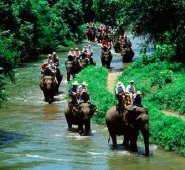 Internet | Referencial