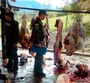 Los uniformados encontraron trozos de reses colgadas en ganchos metálicos y cabezas y cueros de por los menos cuatro vacas en el piso. Policía Nacional