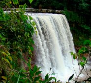 Parquesnacionales.gov.co