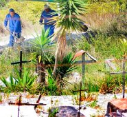 Falsos positivos en Ocaña. Archivo La Opinión