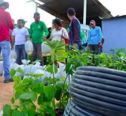 Las familias recibieron alevinos, concentrado y materiales. Cortesía